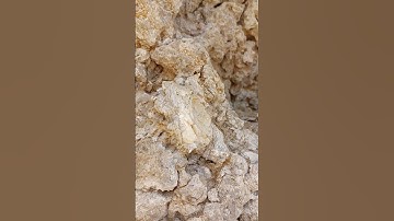 Fossilized seashell. #nature #beautiful #crete #fossil