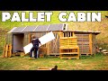 Building a Tiny Workshop in a PALLET CABIN, dry wall installation #12