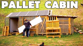 Building a Tiny Workshop in a PALLET CABIN, dry wall installation #12