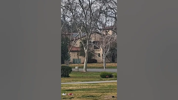 GREATFUL DEAD's Ronald Charles McKernan's Grave @ ...