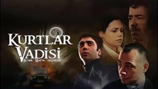 Aranan Müzikler - Kurtlar Vadisi Haskin Mix