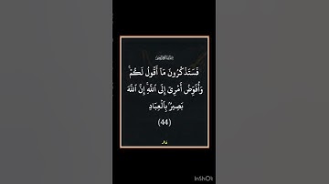 سورة غافر - سورة 40 - اية 44