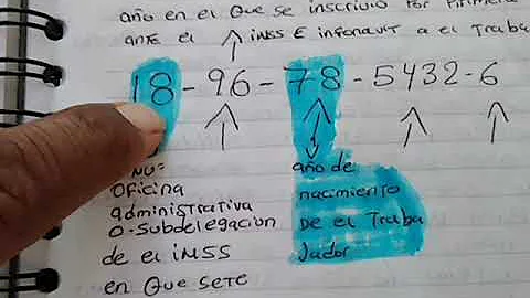 ¿Qué significan los 11 números del Seguro Social?