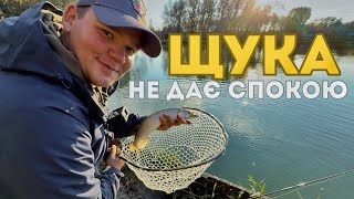 видео: ❗️ЩУКА НЕ ДАЄ СПОКОЮ🎣 Смачний перекус від FOOD MISSION 🍗 картинка: ❗️ЩУКА НЕ ДАЄ СПОКОЮ🎣 Смачний перекус від FOOD MISSION 🍗