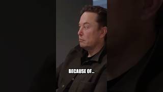 Exclusive Elon Musk On Twitter Fame Loneliness And Ai  Insider News