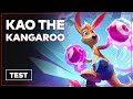 Kao the kangaroo  un bon jeu de plateforme 3d  test