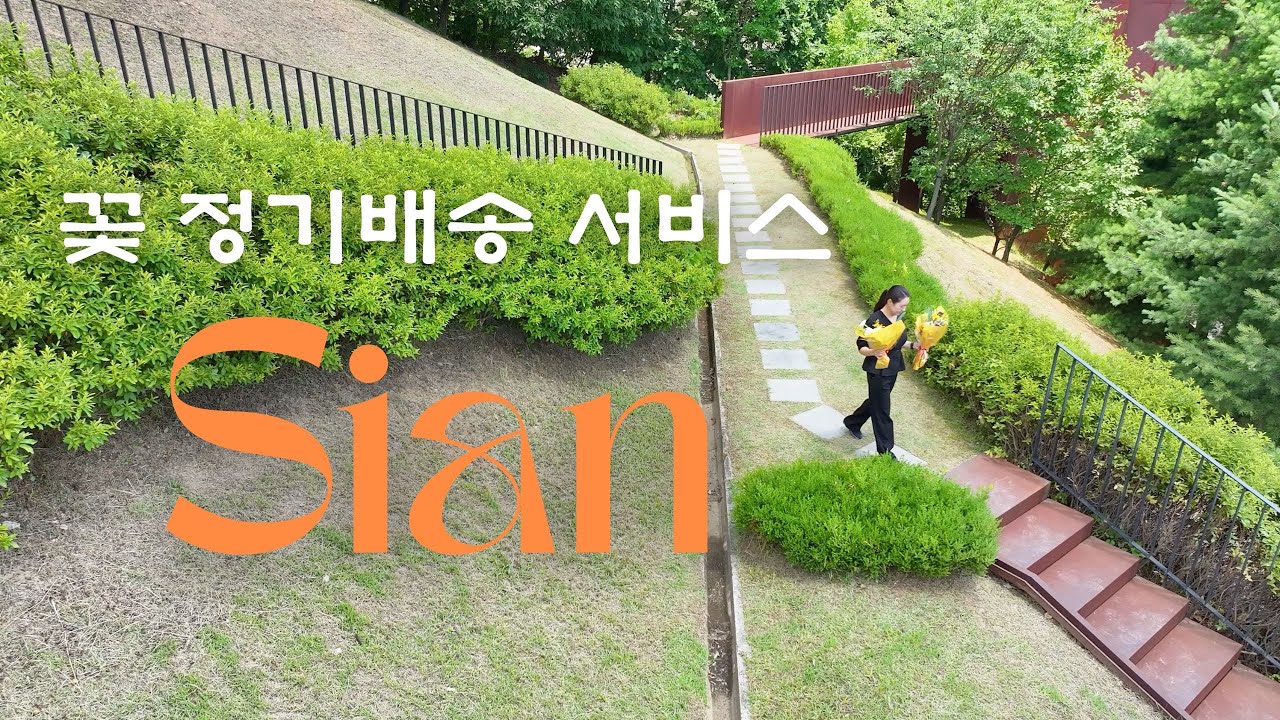 시안의 꽃 정기배송 서비스