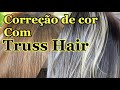 Correção de cor com a TRUSS HAIR