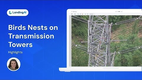 Highlights | Detect Bird Nests on Transmission Towers with LandingLens