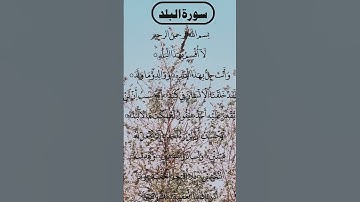 BEAUTIFUL VOICE SURAH AL BALAD سورة البلد #egzonibrahimi #quran #surahalbalad #surahbalad surahb
