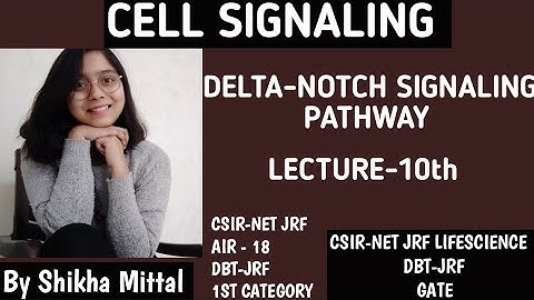DELTA-NOTCH PATHWAY - CELL SIGNALING CSIR-NET JRF LIFESCIENCE