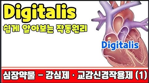 강심제 응급실약물 중 식은땀흘리게 만들었던 약물 쉽게 알아볼까요~^^