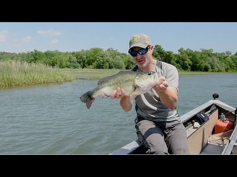 Video: Catch & Release: How To Unhook Fish Properly