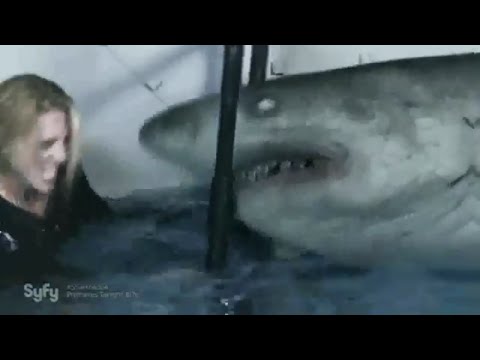 ice-sharks:-body-count