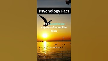 Decoding Minds: Intriguing Psychology Insights Revealed!