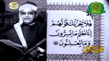 الشيخ ابراهيم عبد الفتاح الشعشاعى | فيديو نادر عام 1975 | سورة يس | نوادر ورائع زمان