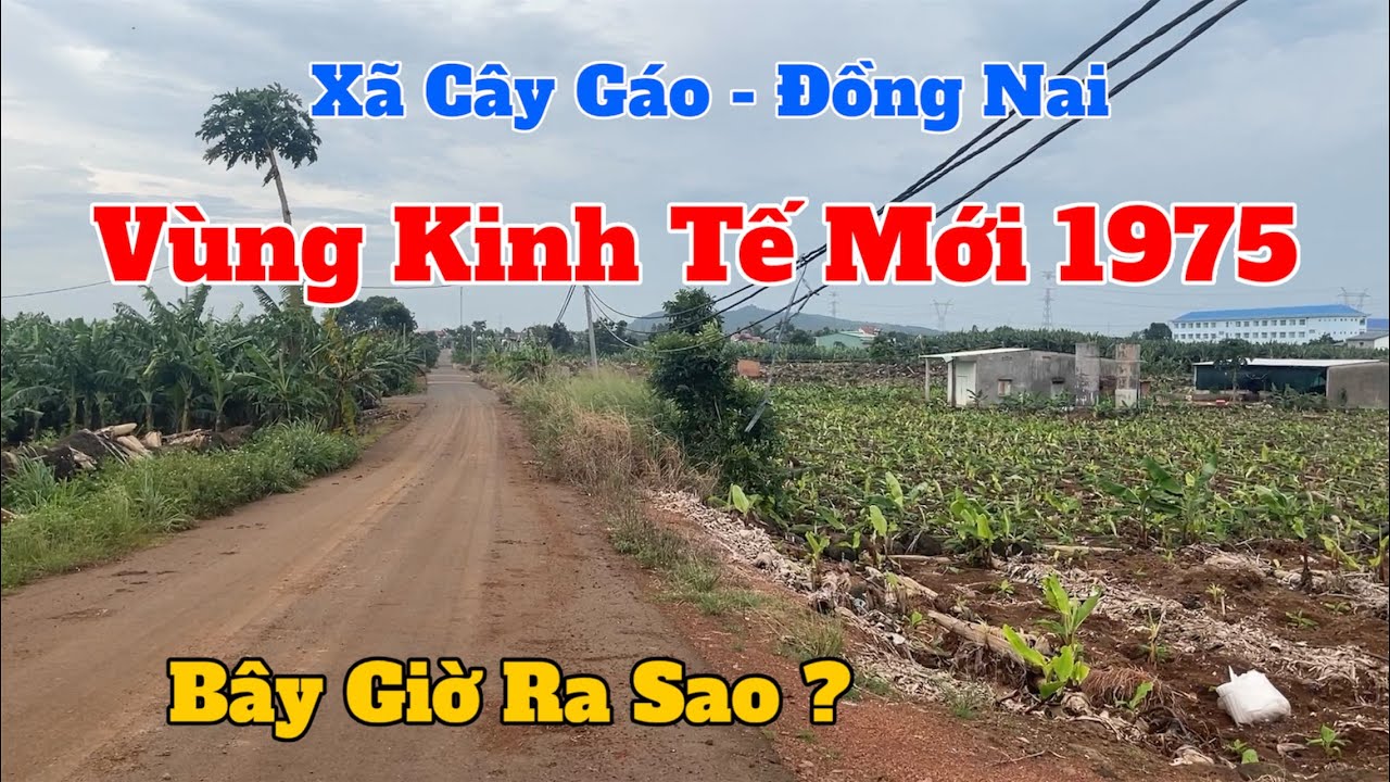 Vùng Kinh Tế Mới 1975, Xã Cây Gáo Bây Giờ Ra Sao ?