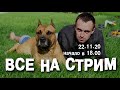 Рыбачёв приглашает на стрим!!!