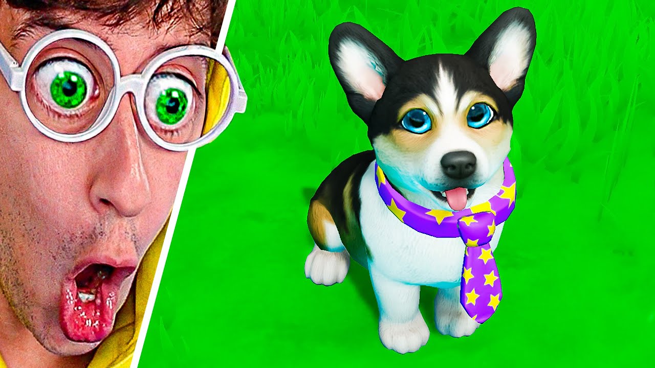 Mi Nueva Mascota 🐶❤️!! (Perro Corgui Bebé 👶🏻)