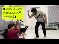 German Shepherd Puppy Rocky Protecting Family ll in Telugu ll
