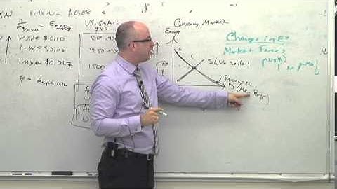NEIU ECON Lecture Series 14 (Part 7): Interest Rates and Exchange Rates