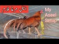 My aseel setup vlog   setup