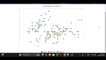 Unleashing d3.js | Interactive Data Visualization with Team J091