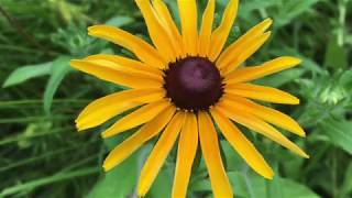 Couple Meditation for Connection & Intimacy