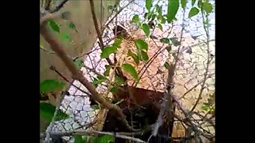 Micromax Unite A092 Pictures and Video Samples