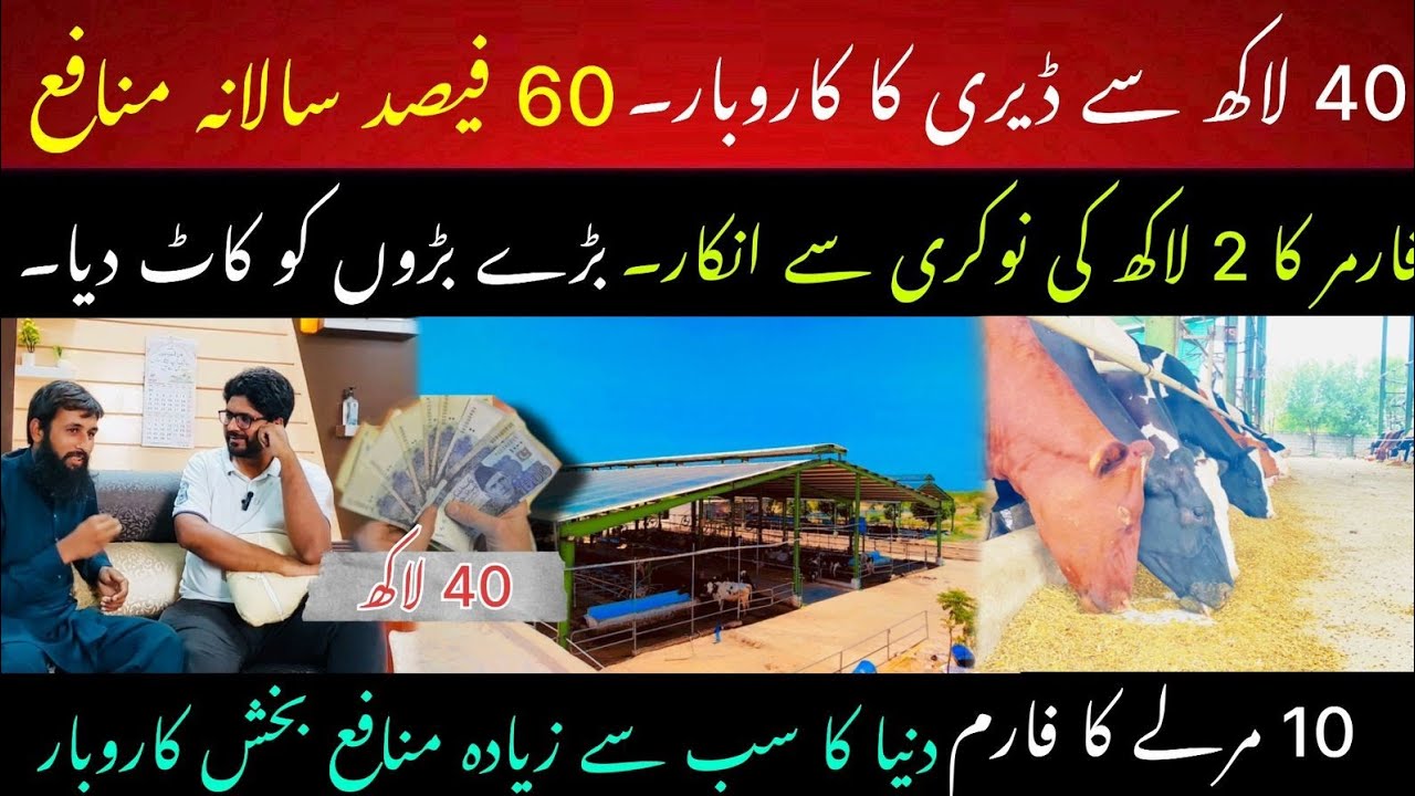 40 lac say dairy farming and 60% profit II Small scale farming 2025 II Dr. Muzzammil Hassan