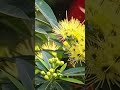 Being With You - Original Composition