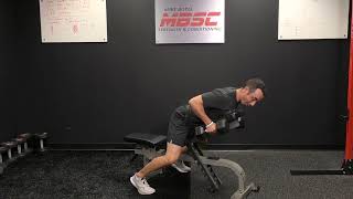 Alternating Chest Supported Row With Iso