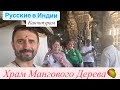 4. Храм мангового дерева Экобанишвар. Южная Индия, паломнический тур 2025