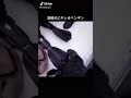 [ブライアン] 温暖化にキレるペンギン