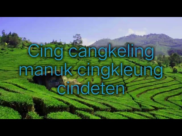 Lirik Cing Cangkeling - Lagu Daerah Jawa Barat class=