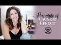 Principle Of Cause & Effect Explained (Part 7 of 8) | #WitchBabyWednesdays