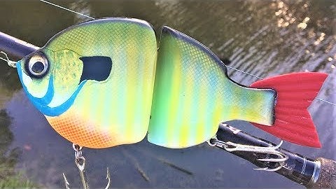 BlueGill SwimBait | One Day Build to Catch