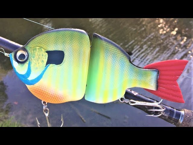 BlueGill SwimBait  One Day Build to Catch 