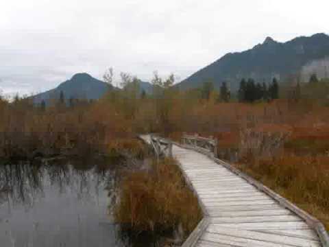 Oswald West Oregon Coast | Two Girls Hiking from YouTube · Duration: 1 minutes 28 seconds Oswald West Oregon Coast | Two Girls Hiking from YouTube · Duration: 1 minutes 28 seconds