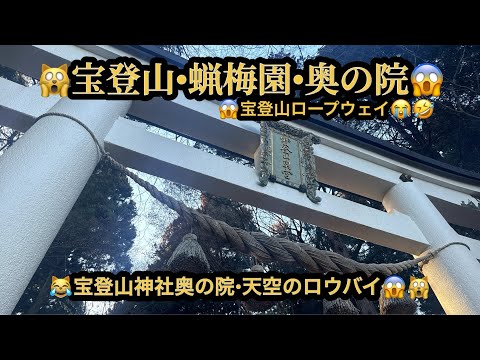 【プレミア】🙀宝登山・蝋梅園・奥の院😱宝登山ロープウエイ😭埼玉県秩父郡長瀞町(22m57s）🤣BGM:#riokazumiのピアノ語り