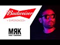 Budweiser experiences