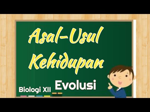 Video: Apa teori abiogenesis yang dikemukakan oleh Oparin dan Haldane apakah ada hubungannya dengan eksperimen Pasteur?