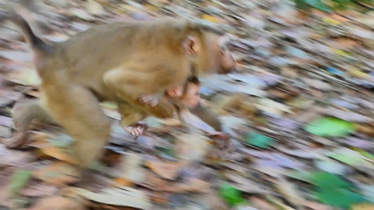 Special time from Other do Love baby that just walking go out Like Lucan  . take him away from Loy