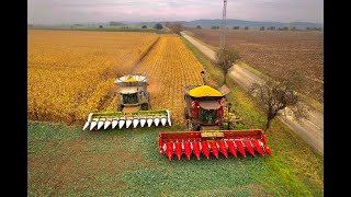 CASE IH Axial Flow 9250 & CLAAS Lexion 770 / Corn Harvest 2021🌽/ Rostěnice, a.s. (2/2) (4K)