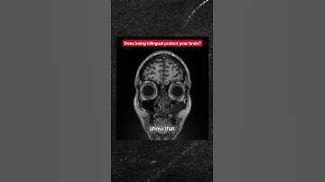 Bilingualism and the Brain!