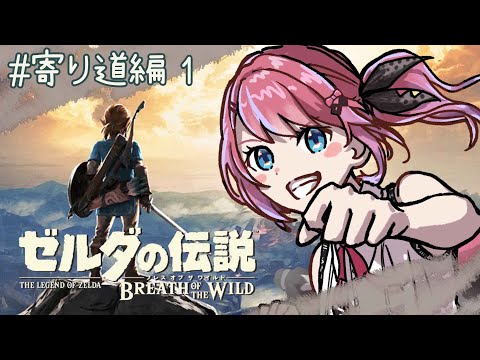 【ゼルダの伝説 ブレス オブ ザ ワイルド】『ハイラル図鑑』映えさせてくわ。 #寄り道編1【倉持めると/にじさんじ】