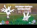 MASUDA HUNTING FOR GALARIAN CORSOLA | Live Stream | Pokemon Sword Pokemon Shield #shorts