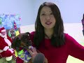 강아지들을 위한 크리스마스 파티: Dogs get their own Christmas party in Los Angeles