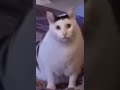 HUh?