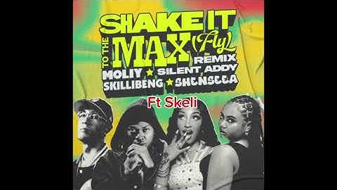 Moliy-Shake to the max(Ft Skeli,Shenseea, and Skilibeng) Official lyric video